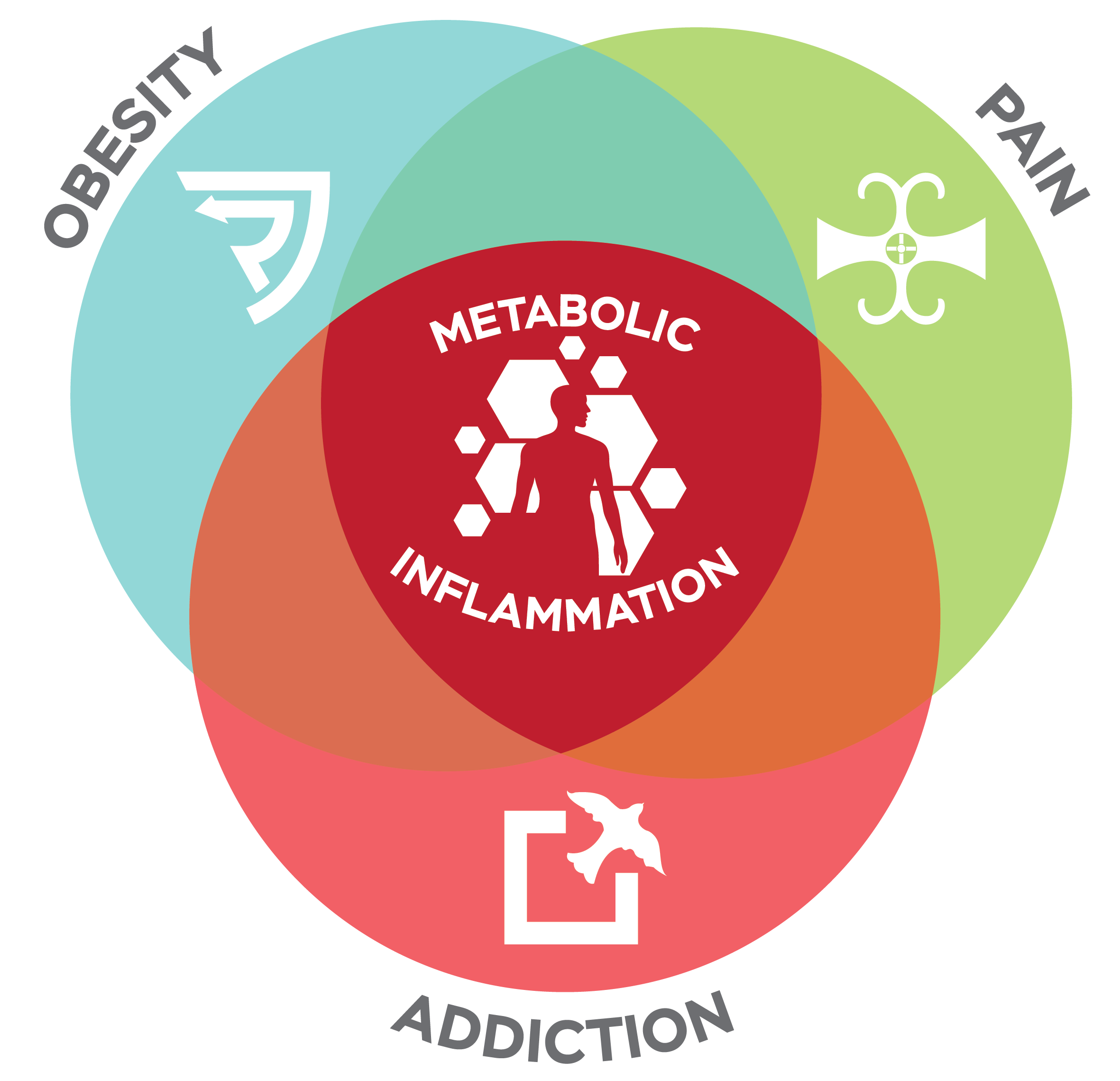 Gurpreet Singh Padda MD Board Certified Interventional Pain